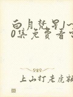 白月梵星1~40集免费看电视剧