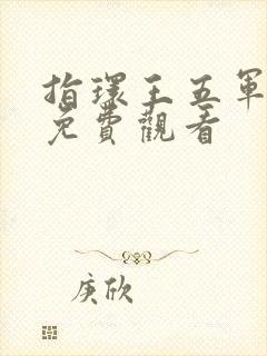 指环王五军之战免费观看封面
