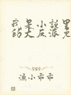 我是小说里共同的大反派免费阅读