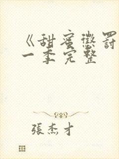 《甜蜜惩罚》第一季完整封面