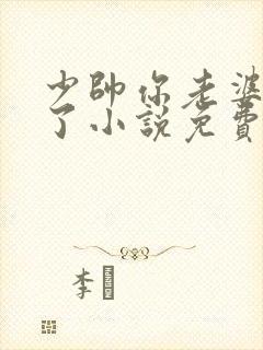 少帅你老婆又跑了小说免费听书