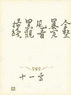 扫黑风暴全集在线观看完整版28集