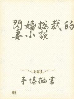 闪婚总裁的契约妻小说