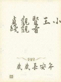 贞观贤王小说在线观看