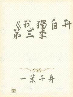 《我独自升级》第三季