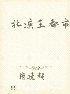 北凉王都市小说封面