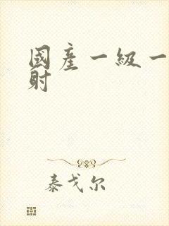 国产一级一片内射