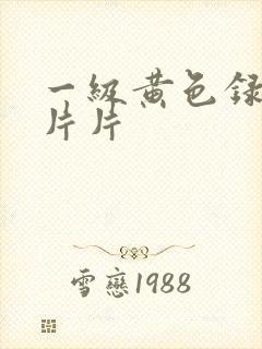 一级黄色录像片片片