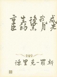 重生后我成了权臣的黑月光txt