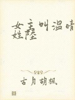 女主叫温晴男主姓陆