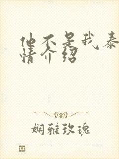 他不是我泰剧剧情介绍