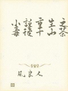 小说重生之将门毒后千山茶客最新篇章封面