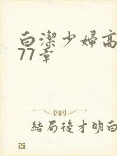 白洁少妇高义第77章封面