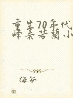 重生70年代陆峰秦若兰小说
