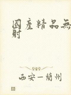 国产精品无套内射