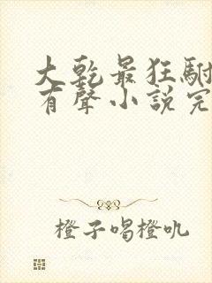 大乾最狂驸马爷有声小说完整