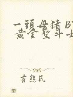 一头母猪 BY 黄金圣斗士