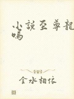 小说至尊龙帝陆呜