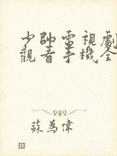 少帅电视剧免费观看手机全集在线播放封面