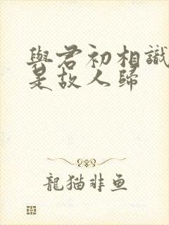 与君初相识 似是故人归封面