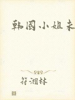 韩国小姐未删减