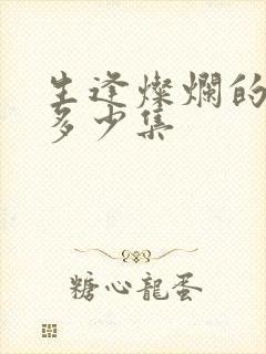 生逢灿烂的日子多少集