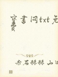 宝书网txt免费