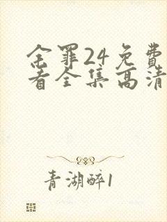 余罪24免费观看全集高清封面