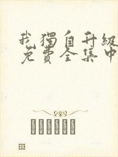 我独自升级动漫免费全集中文版封面