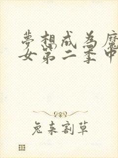 梦想成为魔法少女第二季中文版封面