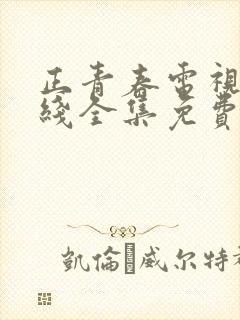 正青春电视剧在线全集免费观看完整