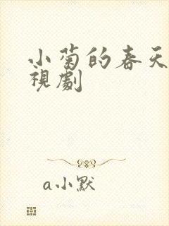 小菊的春天 电视剧封面