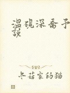 温砚深乔予安小说