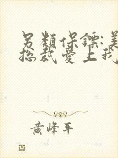 另类保镖:美女总裁爱上我 小说封面