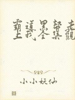 霸道黑帮老大爱上我全集观看