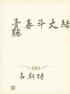 青春斗大结局赵聪