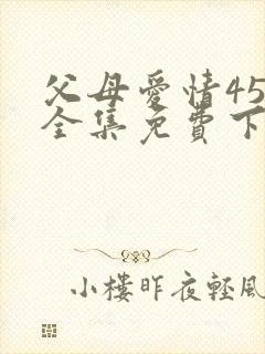 父母爱情45集全集免费下载