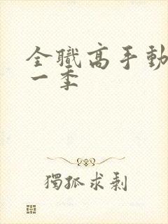 全职高手动画第一季