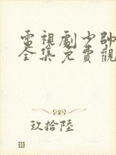 电视剧少帅48全集免费观看在线云封面