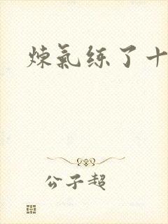 炼气练了十万年