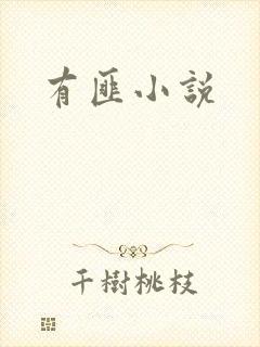有匪小说封面