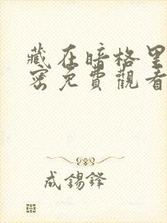 藏在暗格里的秘密免费观看