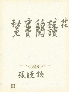 秘密的校花小说免费阅读封面