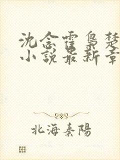 沈念霍枭楚莹莹小说最新章节更新免费阅读