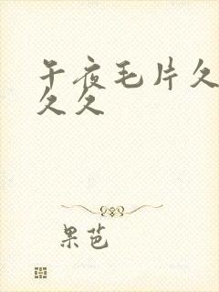 午夜毛片久久久久久