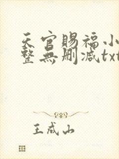 天官赐福小说完整无删减txt下载