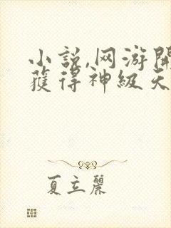 小说,网游开局获得神级天赋