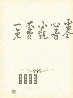 一不小心电视剧免费观看全集