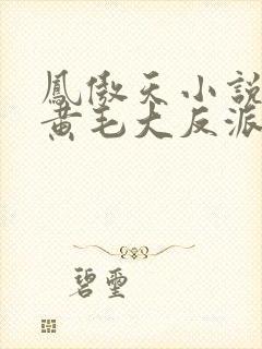 凤傲天小说里的黄毛大反派也想要幸福小说封面