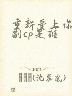 重新爱上你泰剧副cp是谁